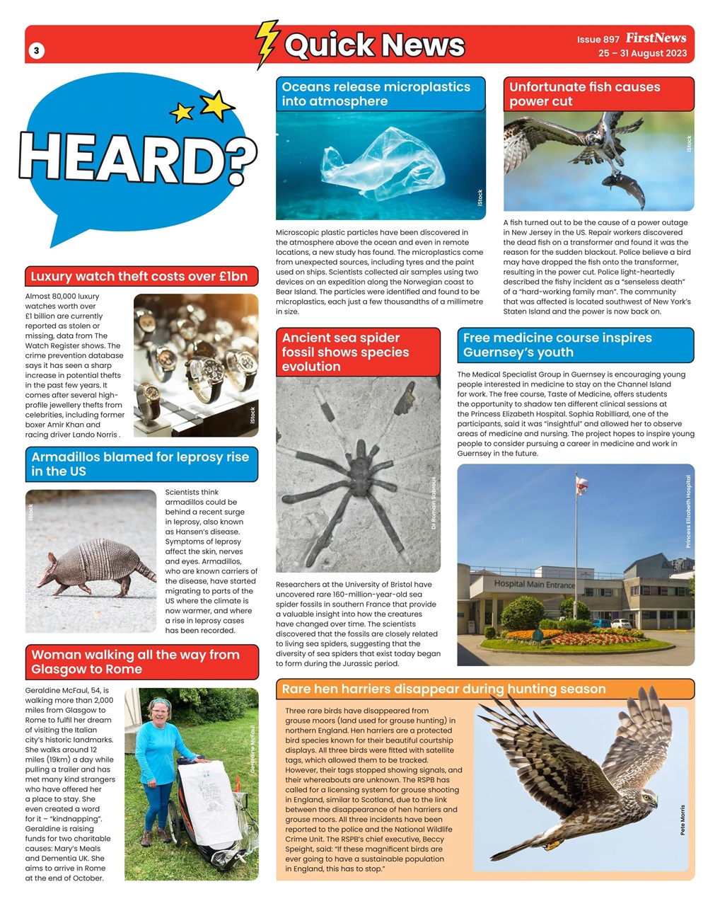 First News Preview Pages