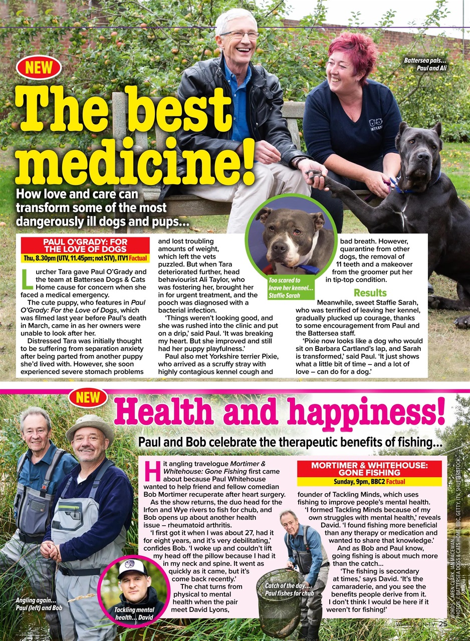 What's on TV Preview Pages