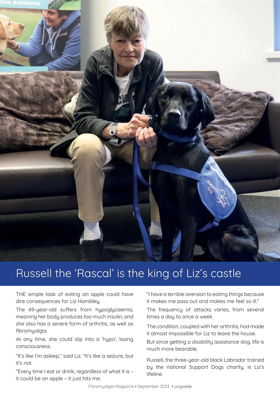 Fibromyalgia Magazine Preview Pages