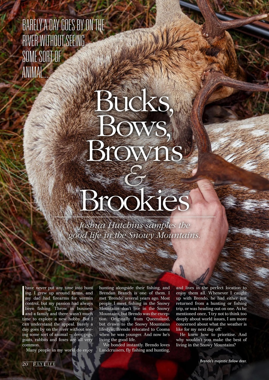 FlyLife Preview Pages