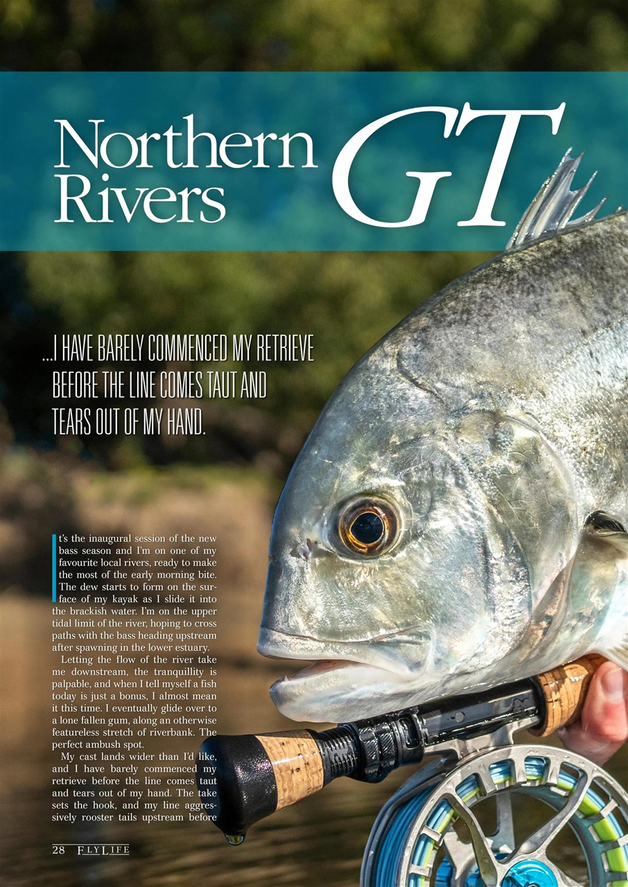 FlyLife Preview Pages