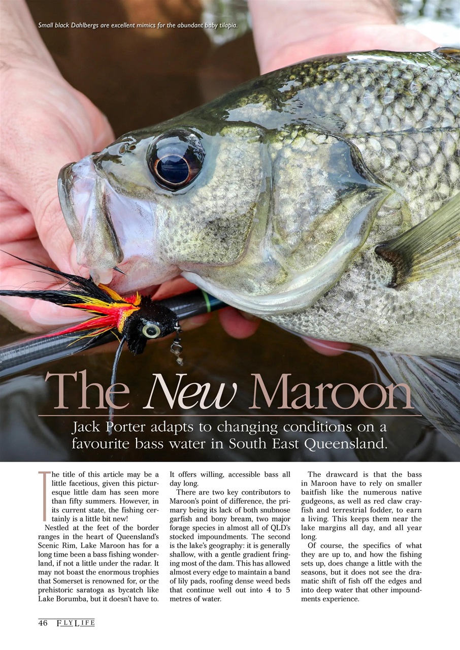 FlyLife Preview Pages