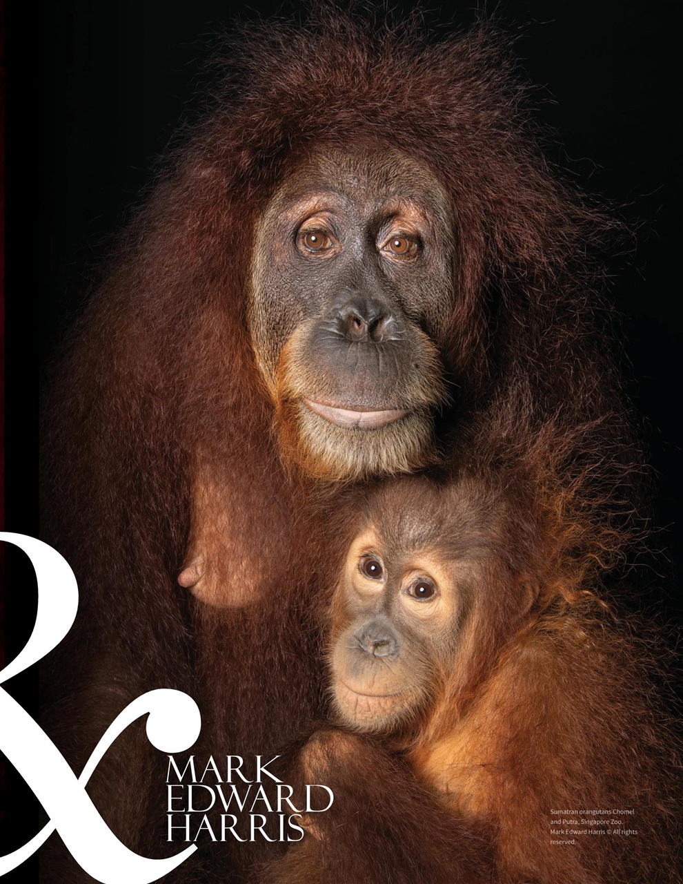 Lens Magazine Preview Pages