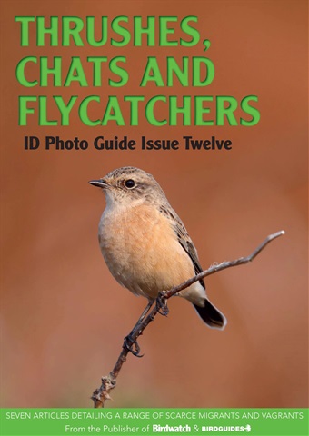 Thrushes, Chats and Flycatchers issue Thrushes, Chats and Flycatchers