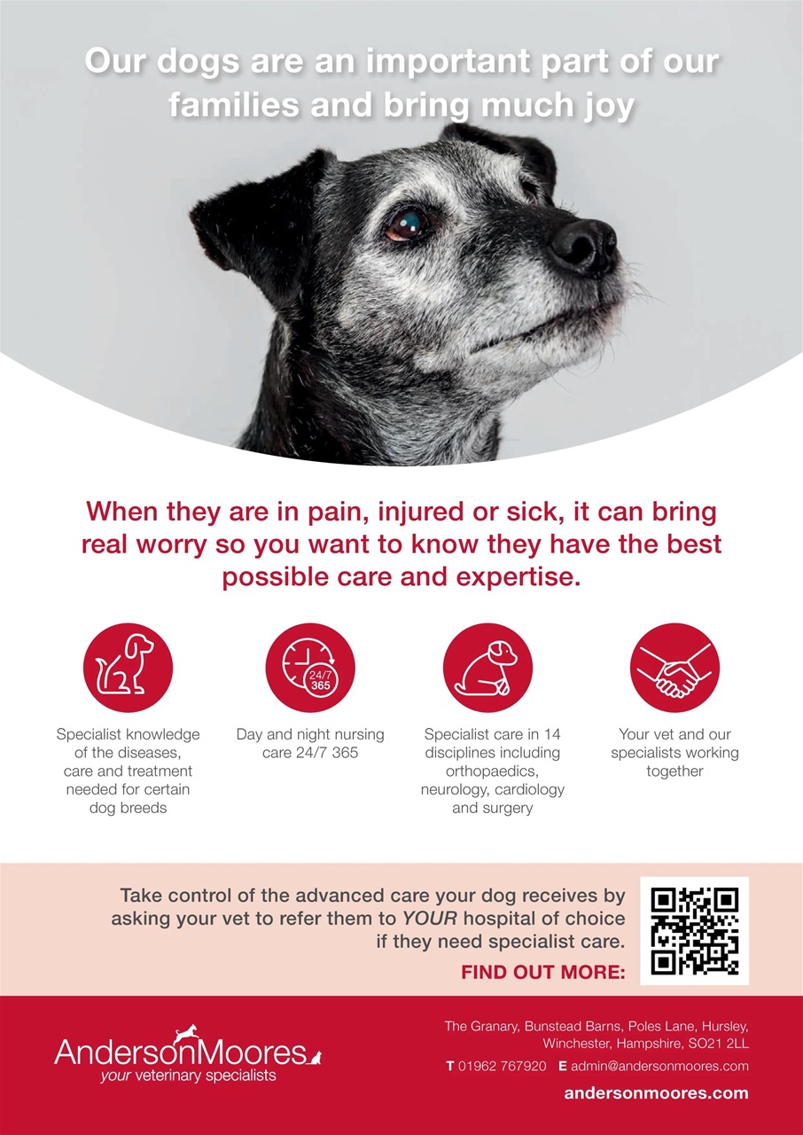 Your Dog Preview Pages