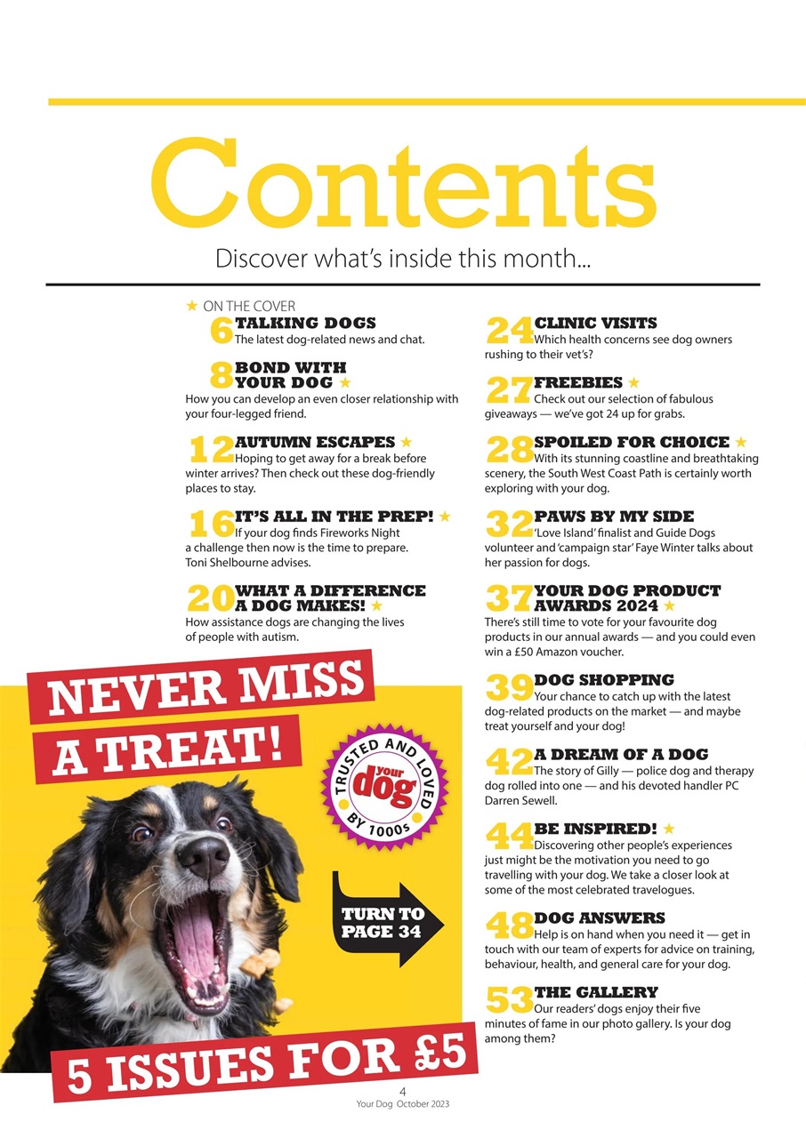 Your Dog Preview Pages