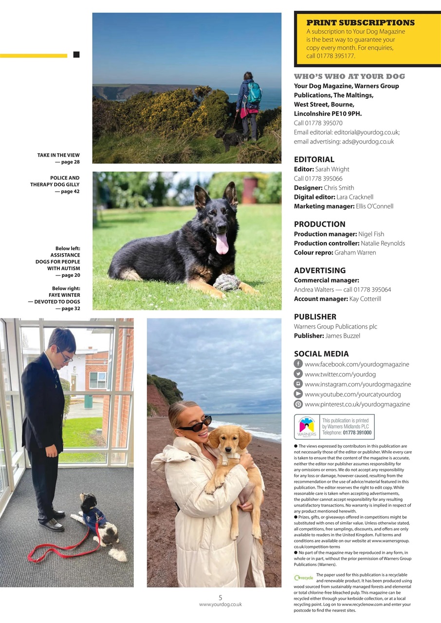 Your Dog Preview Pages