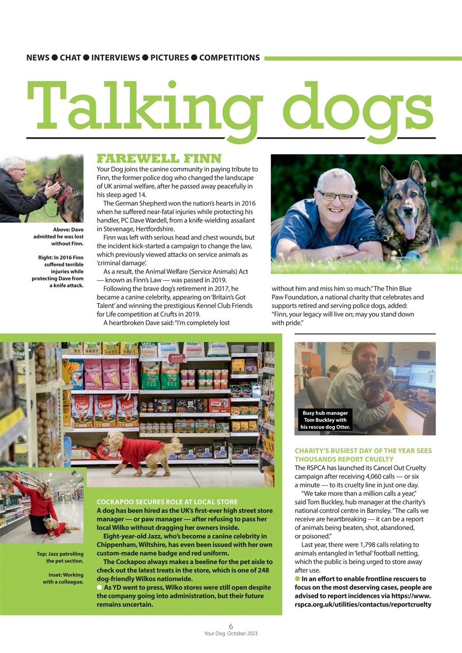 Your Dog Preview Pages