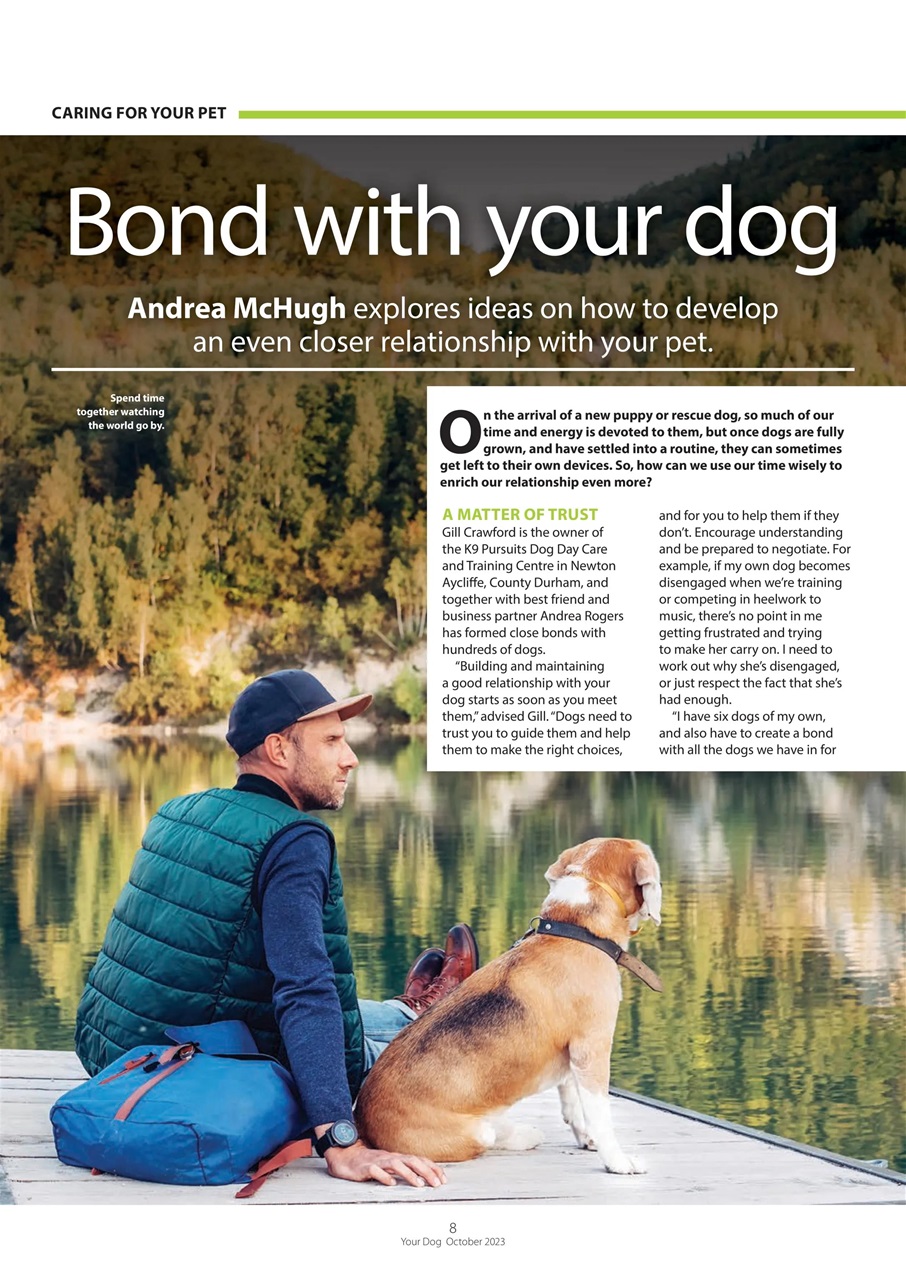 Your Dog Preview Pages