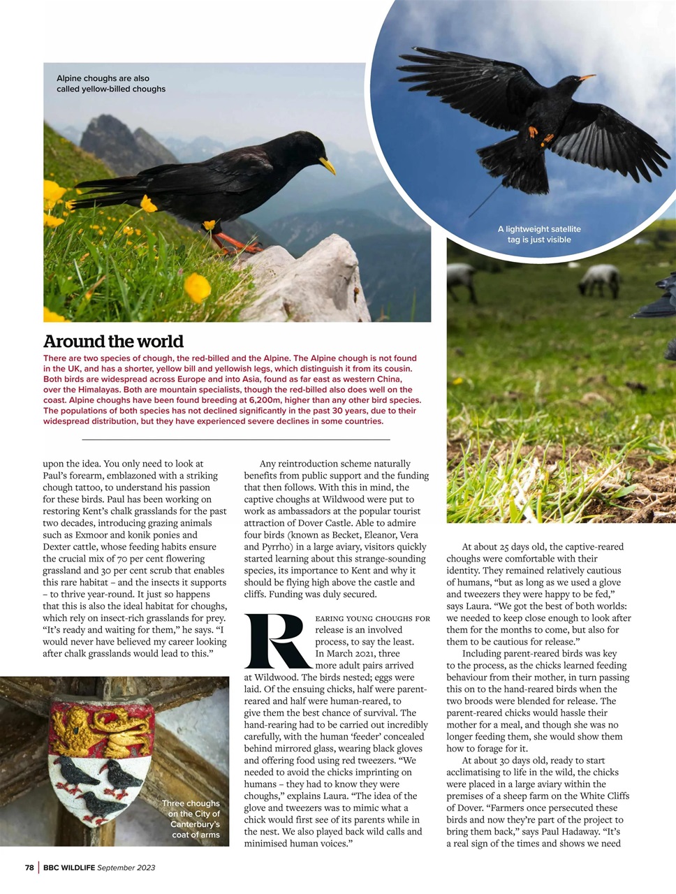BBC Wildlife Magazine Preview Pages