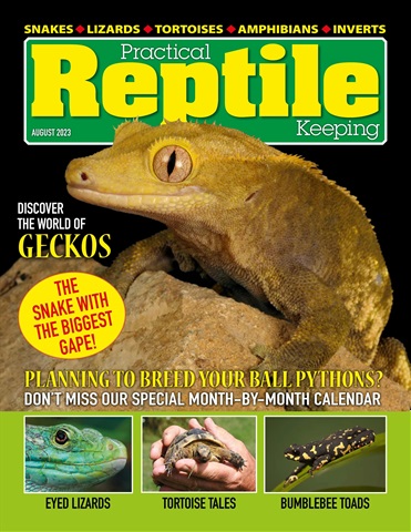 Practical Reptile Keeping issue August 2023