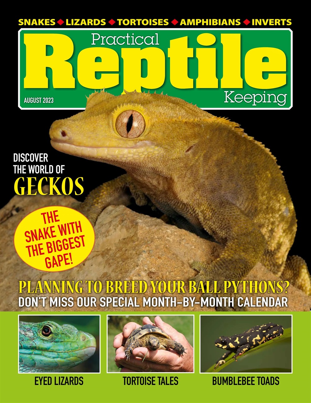 Practical Reptile Keeping Preview Pages