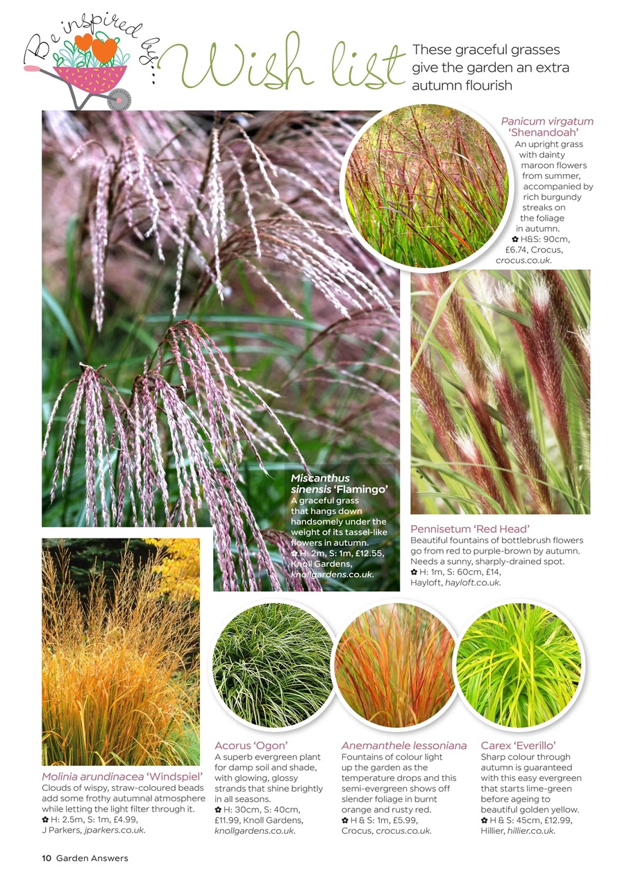 Garden Answers Preview Pages