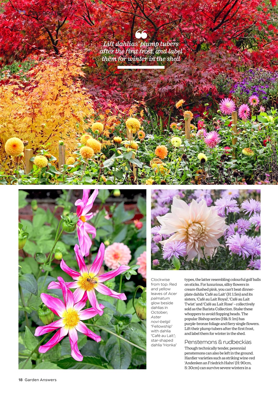 Garden Answers Preview Pages