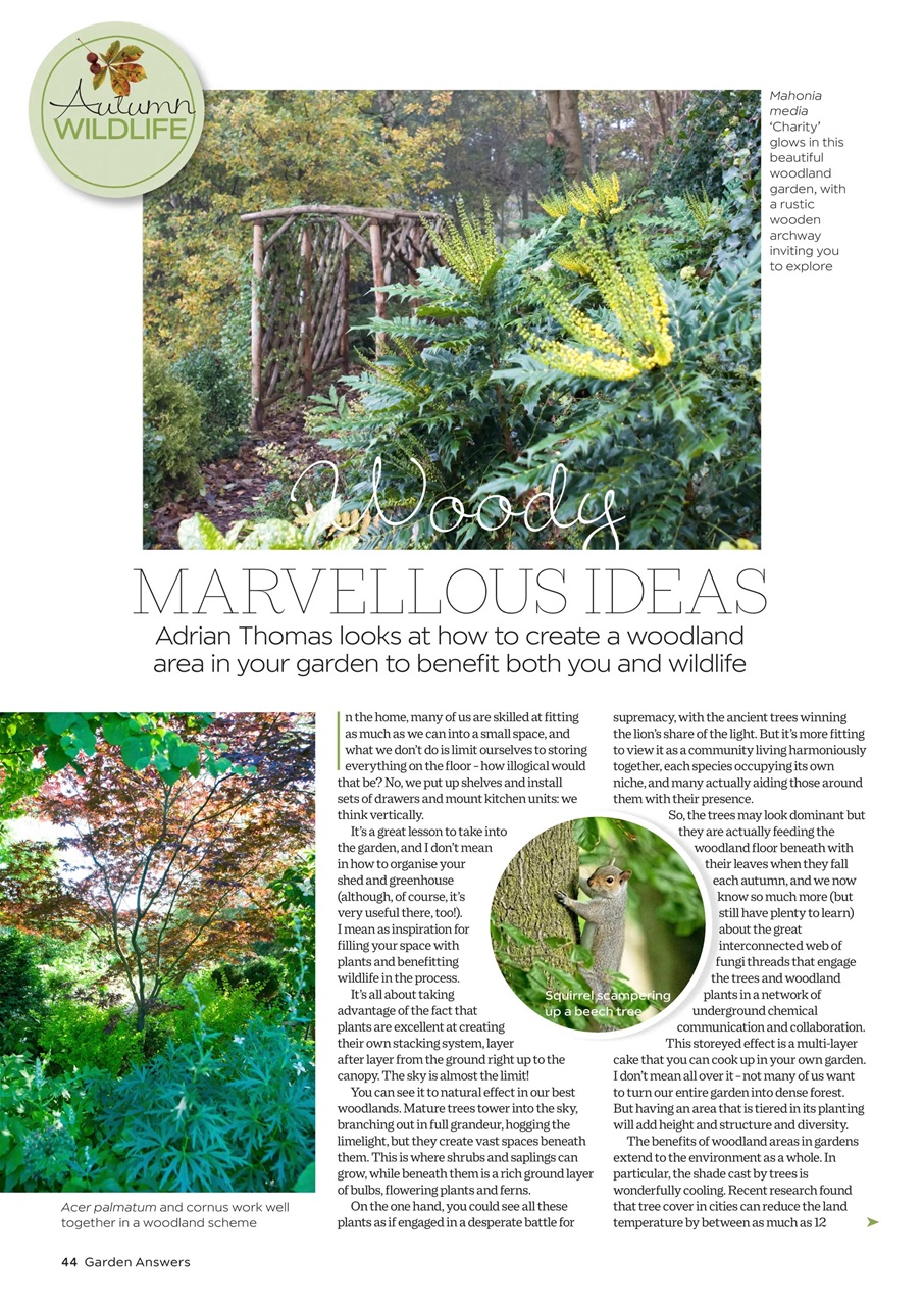 Garden Answers Preview Pages