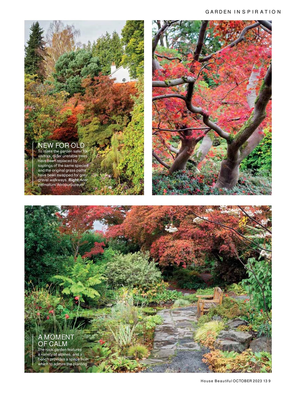 House Beautiful Preview Pages