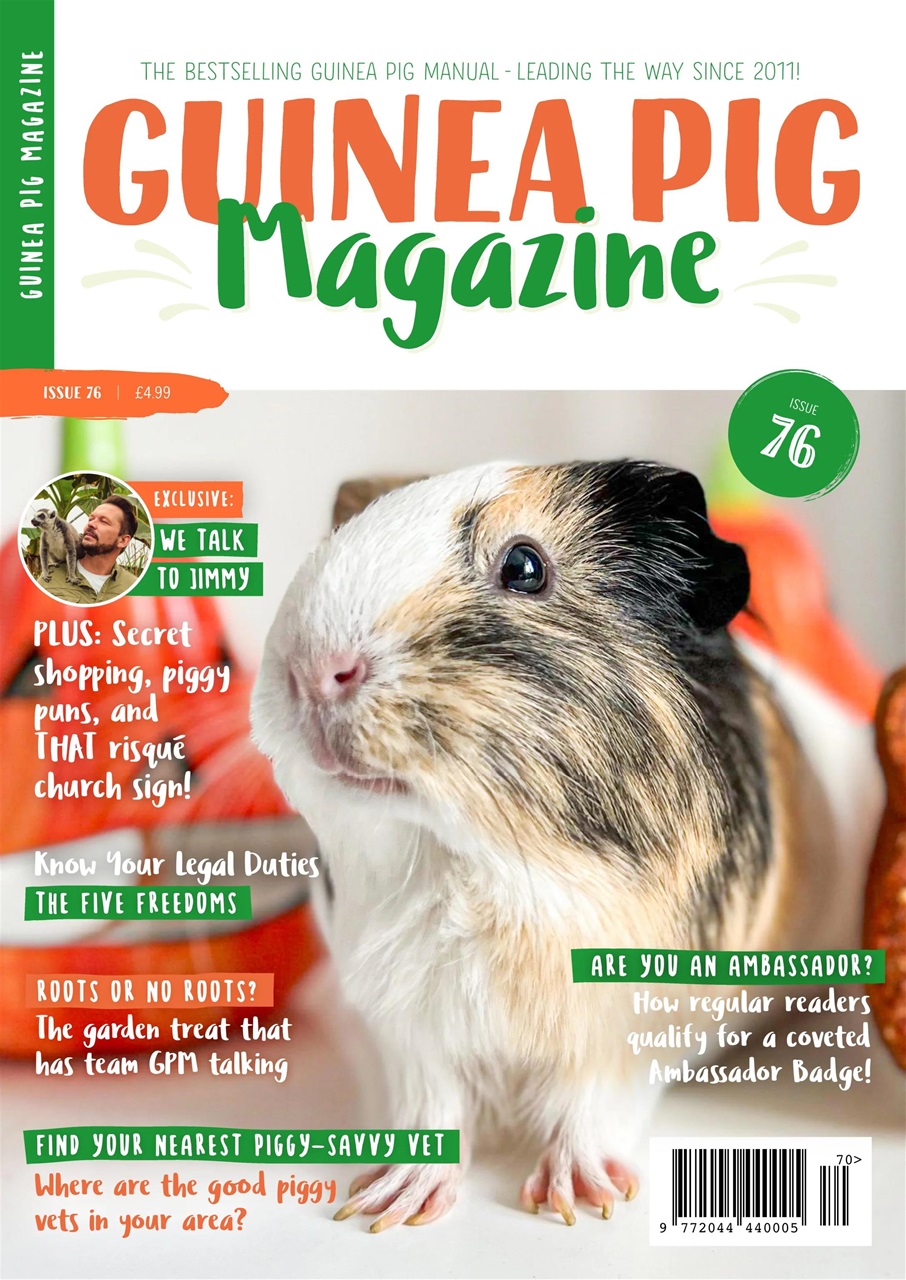 Guinea Pig Magazine Preview Pages