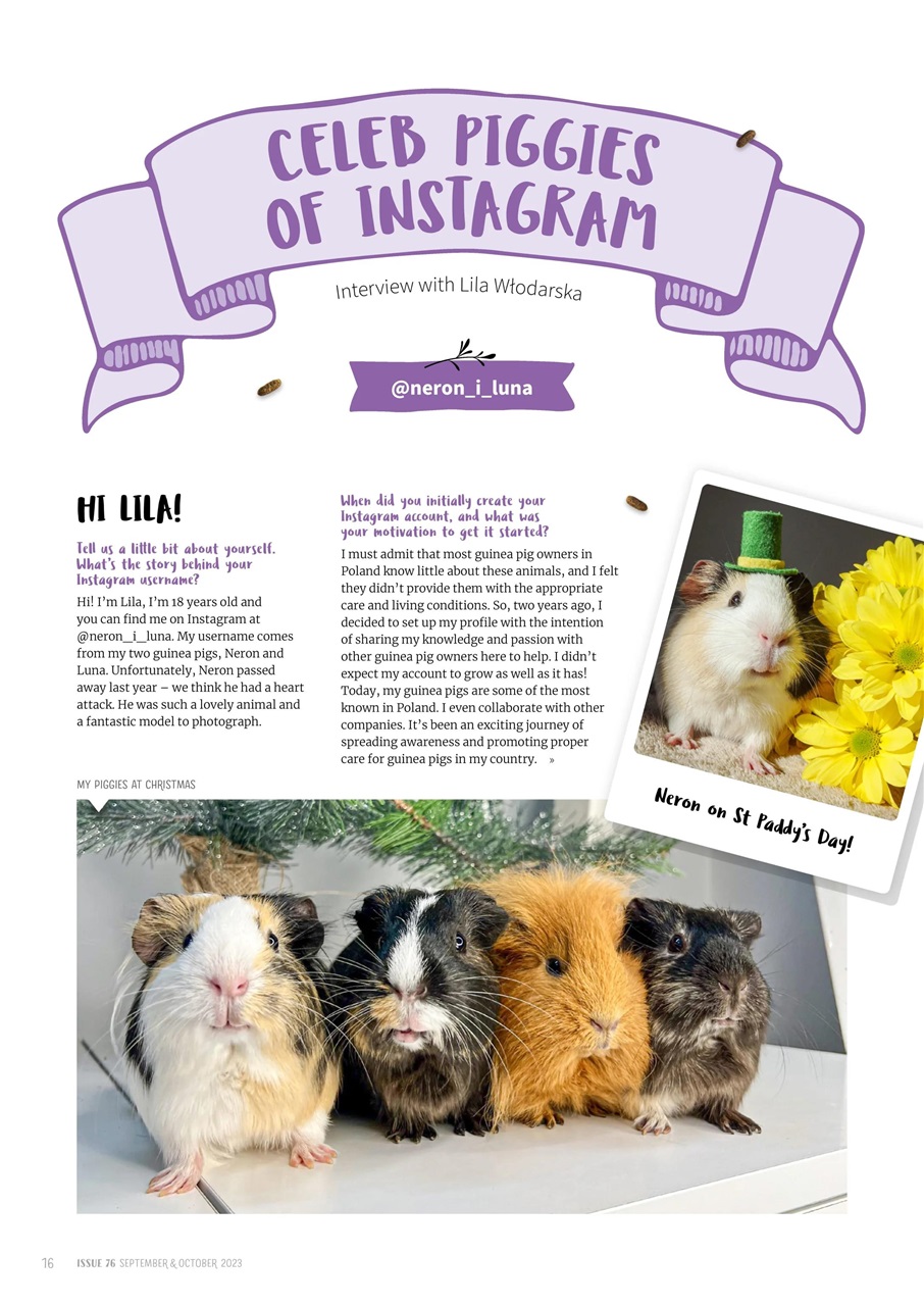 Guinea Pig Magazine Preview Pages