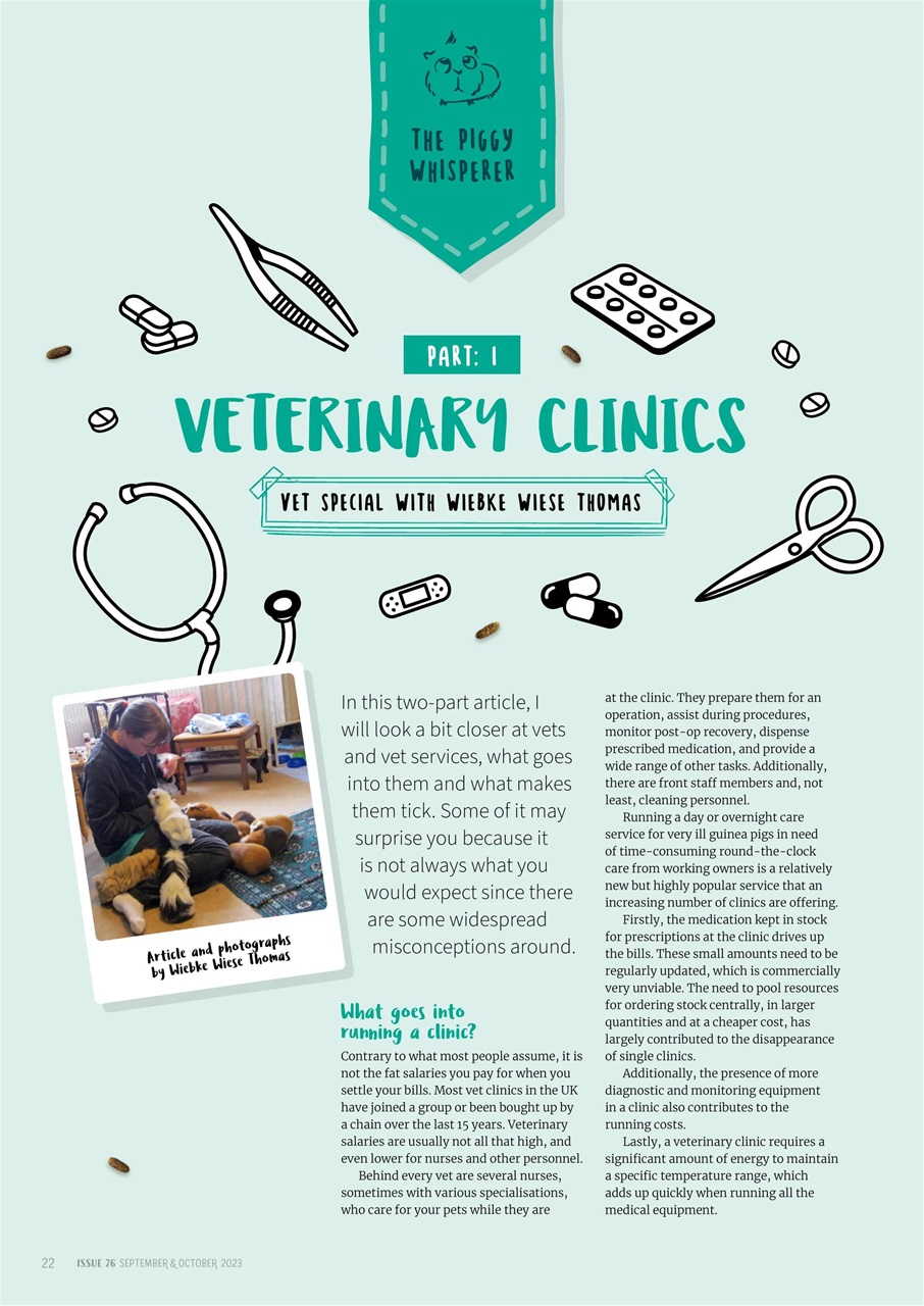 Guinea Pig Magazine Preview Pages