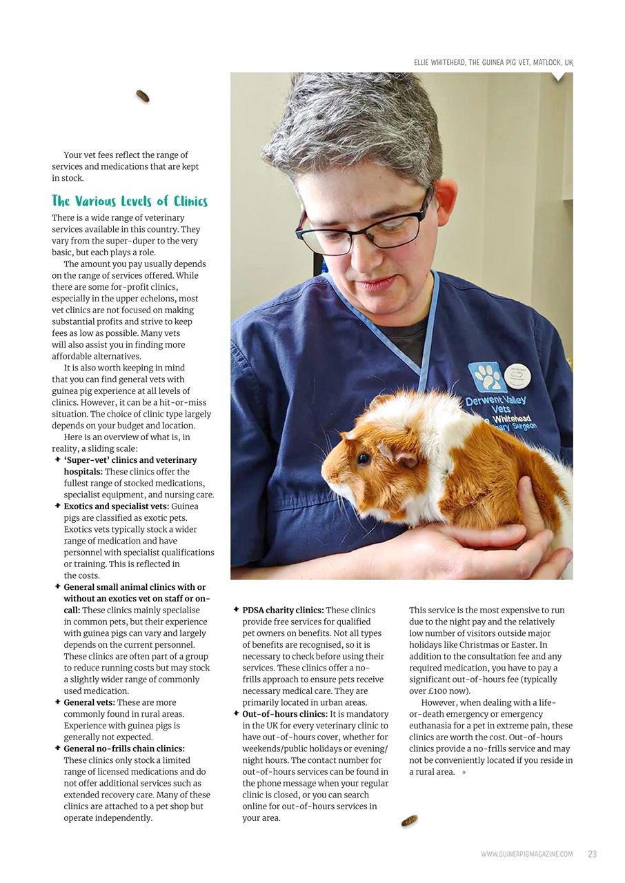 Guinea Pig Magazine Preview Pages