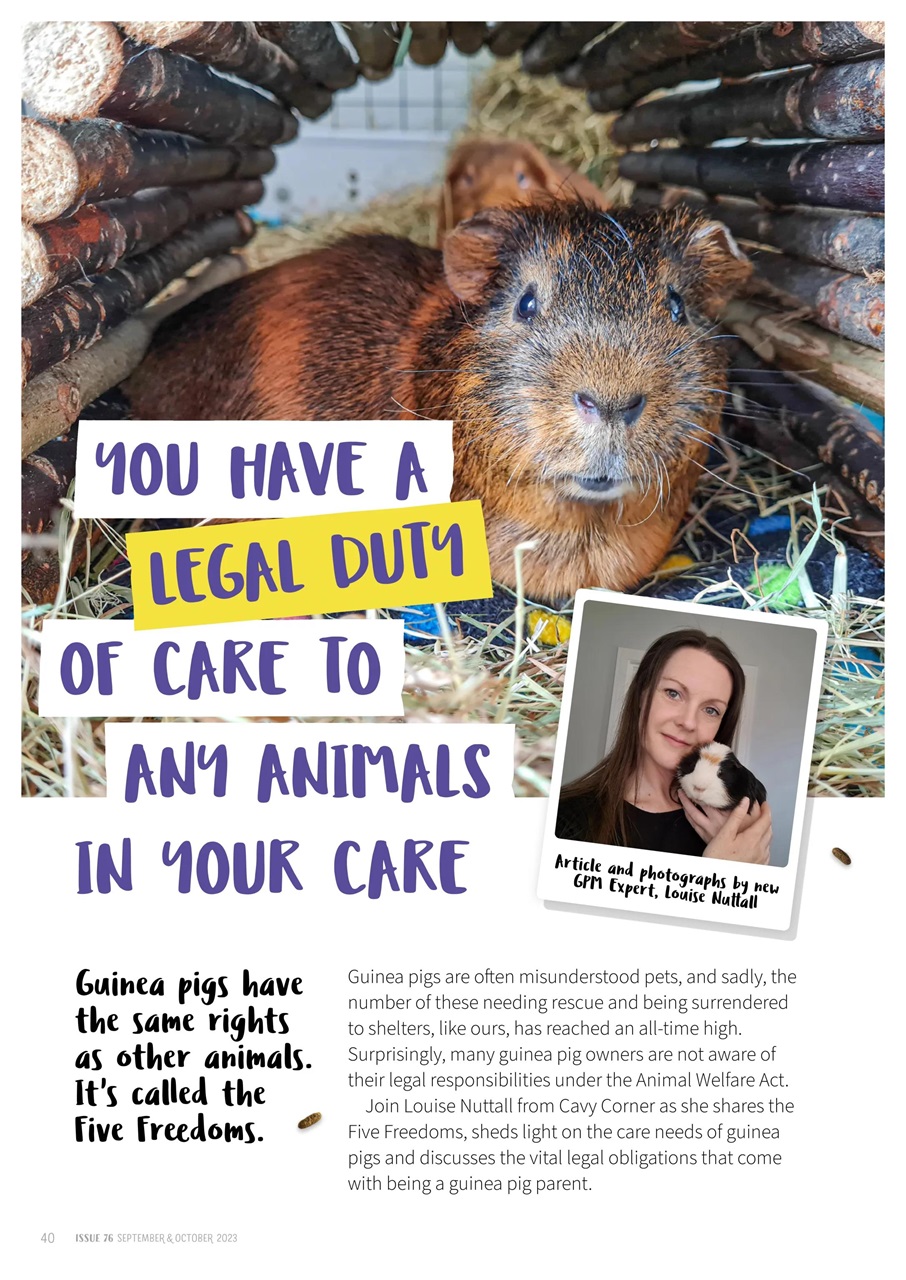Guinea Pig Magazine Preview Pages