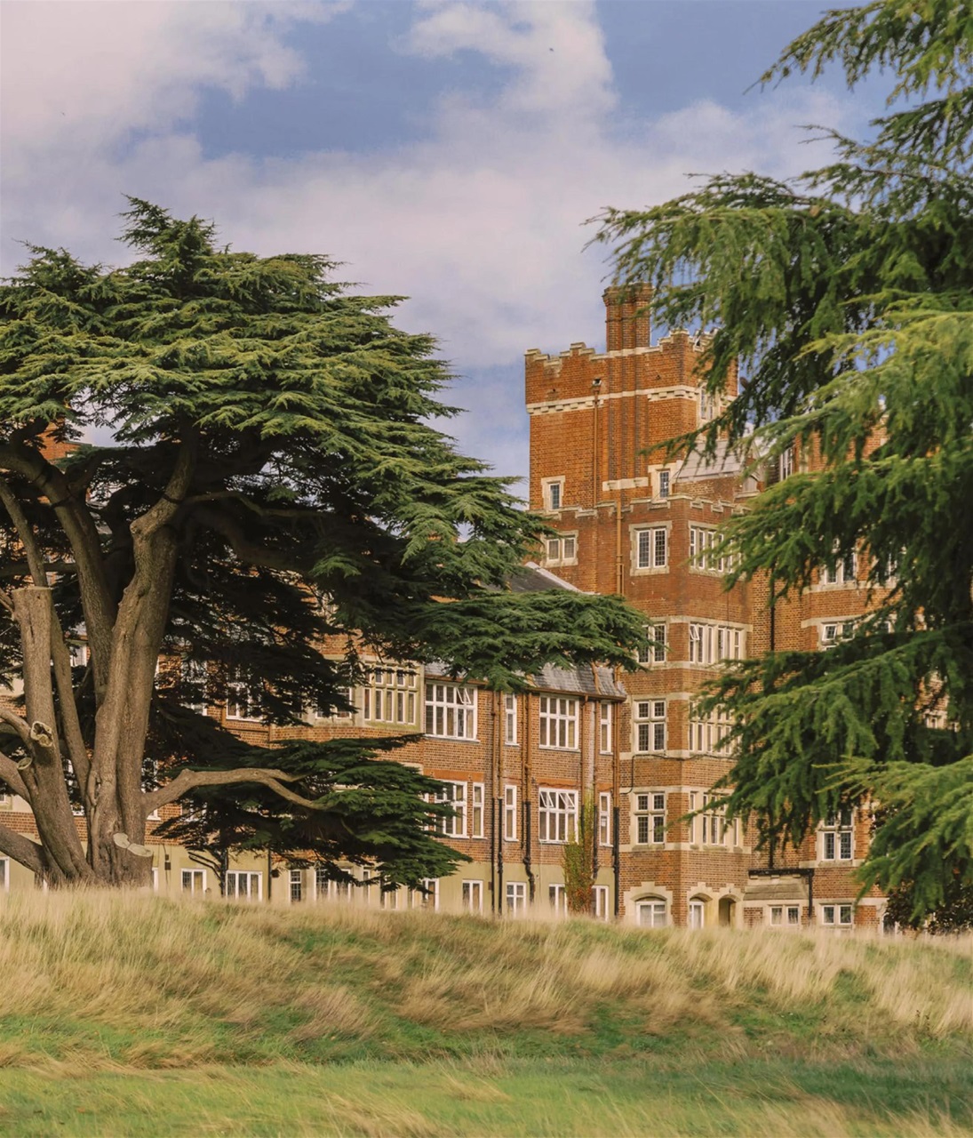 OnOffice Preview Pages