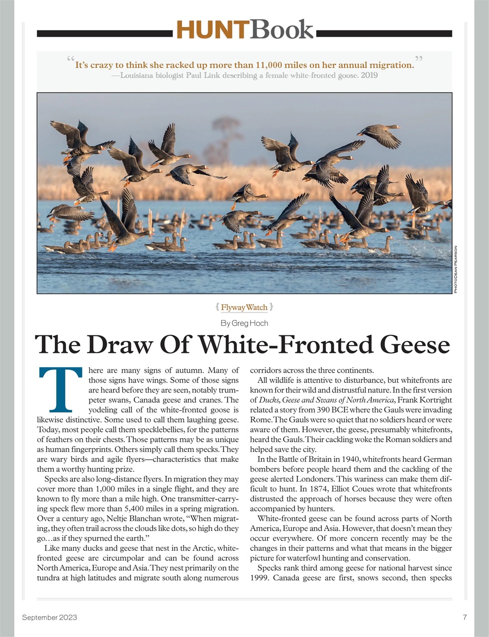 American Waterfowler Preview Pages