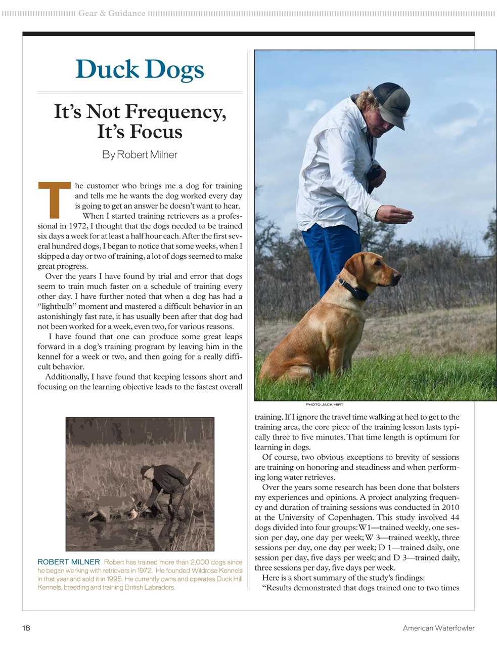 American Waterfowler Preview Pages