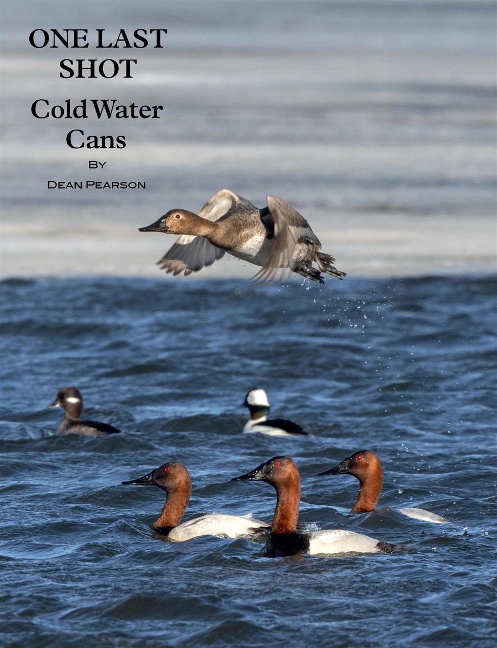 American Waterfowler Preview Pages