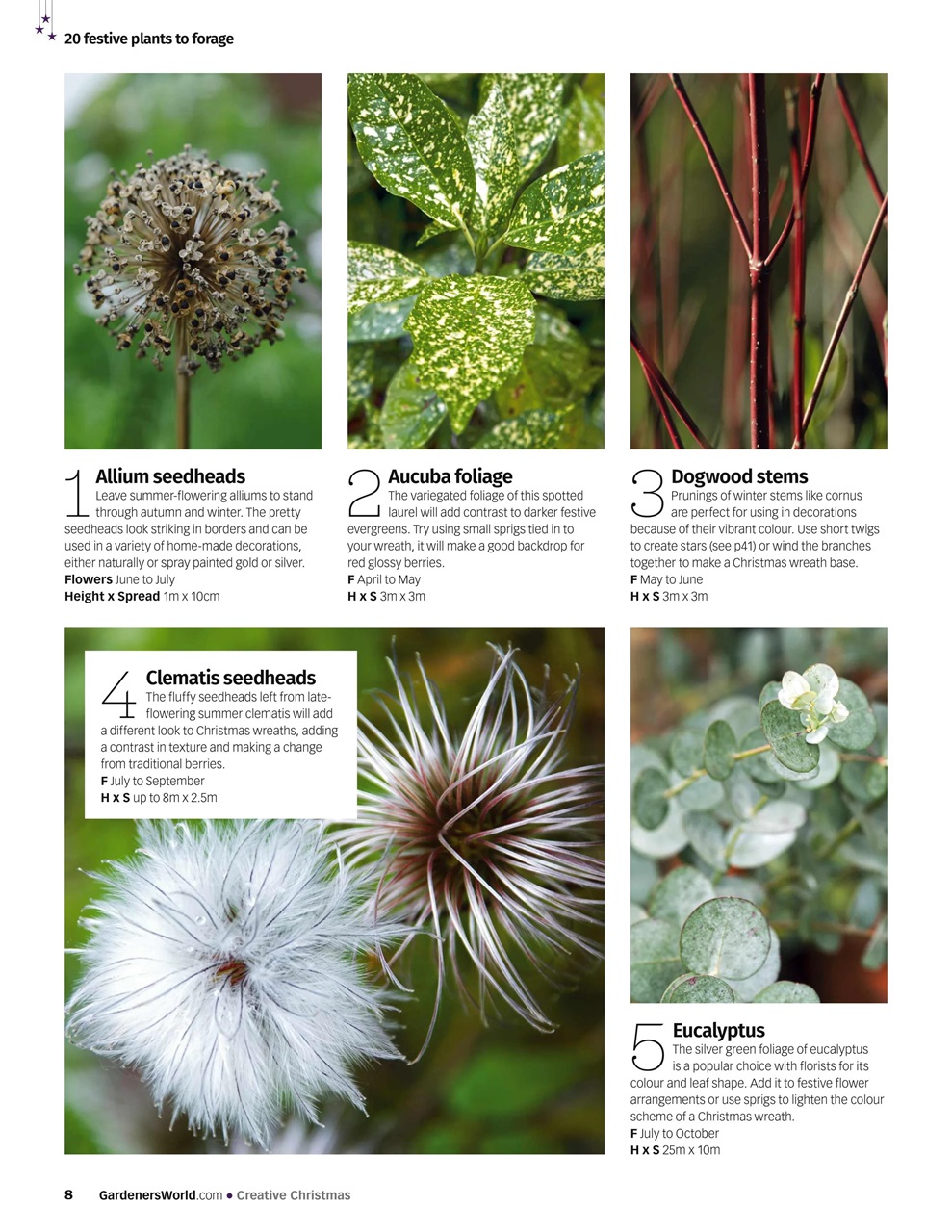 BBC Gardeners’ World Magazine Preview Pages
