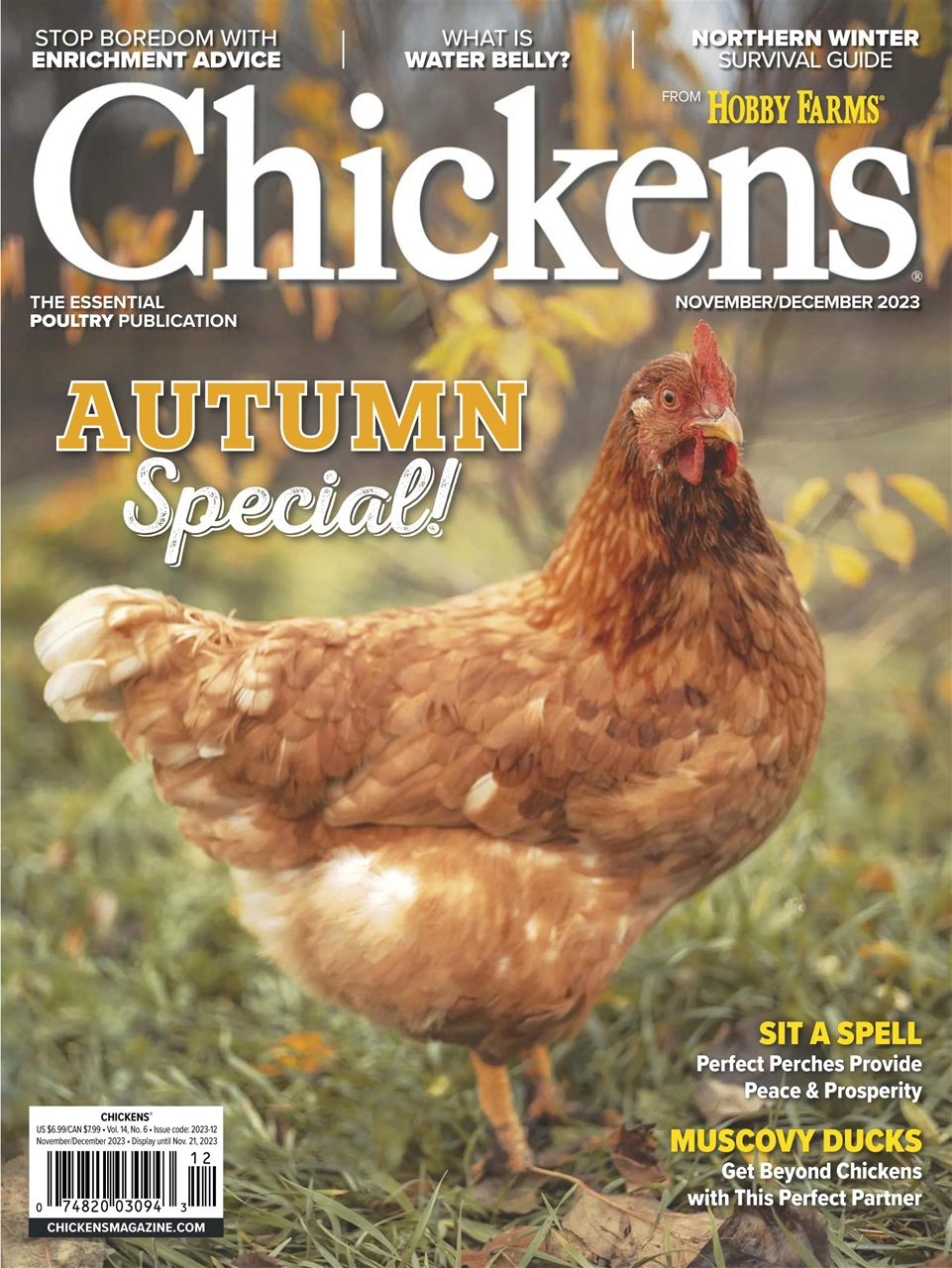Chickens Magazine Preview Pages