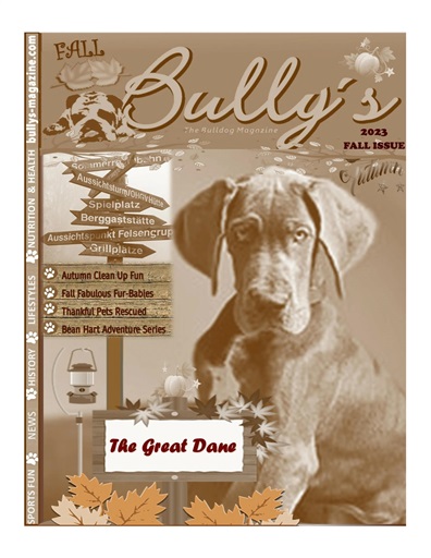 Bully’s - The Bulldog Magazine issue 