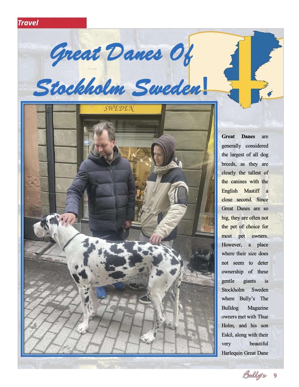 Bully’s - The Bulldog Magazine Preview Pages