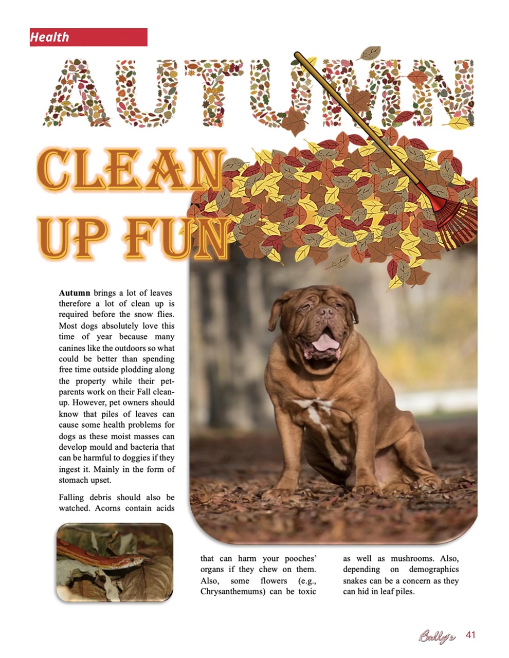 Bully’s - The Bulldog Magazine Preview Pages