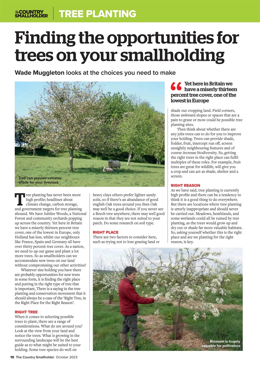 The Country Smallholder Preview Pages