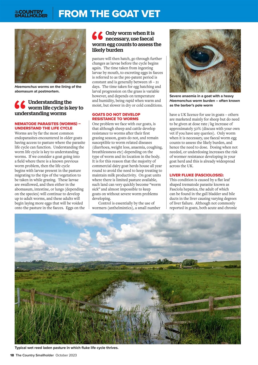 The Country Smallholder Preview Pages