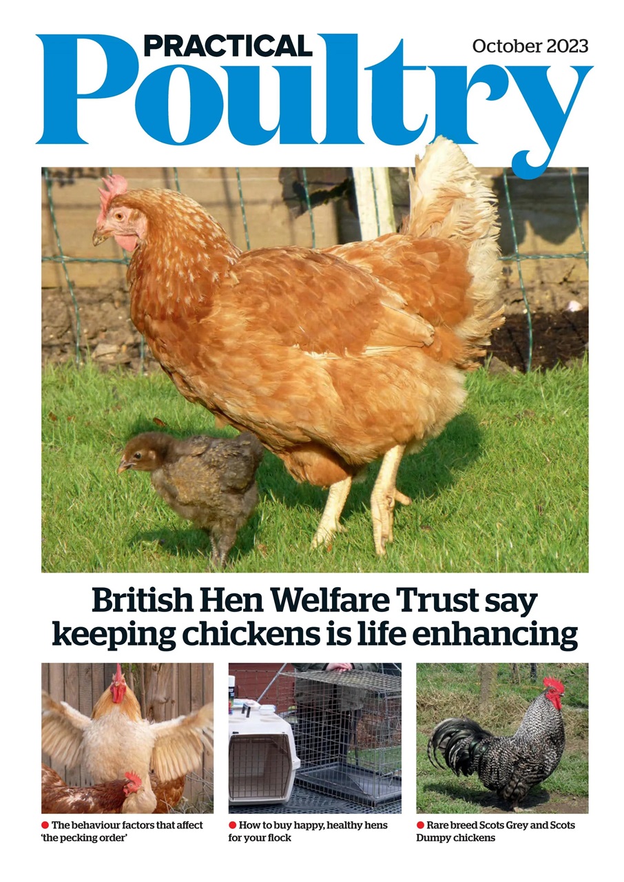 The Country Smallholder Preview Pages