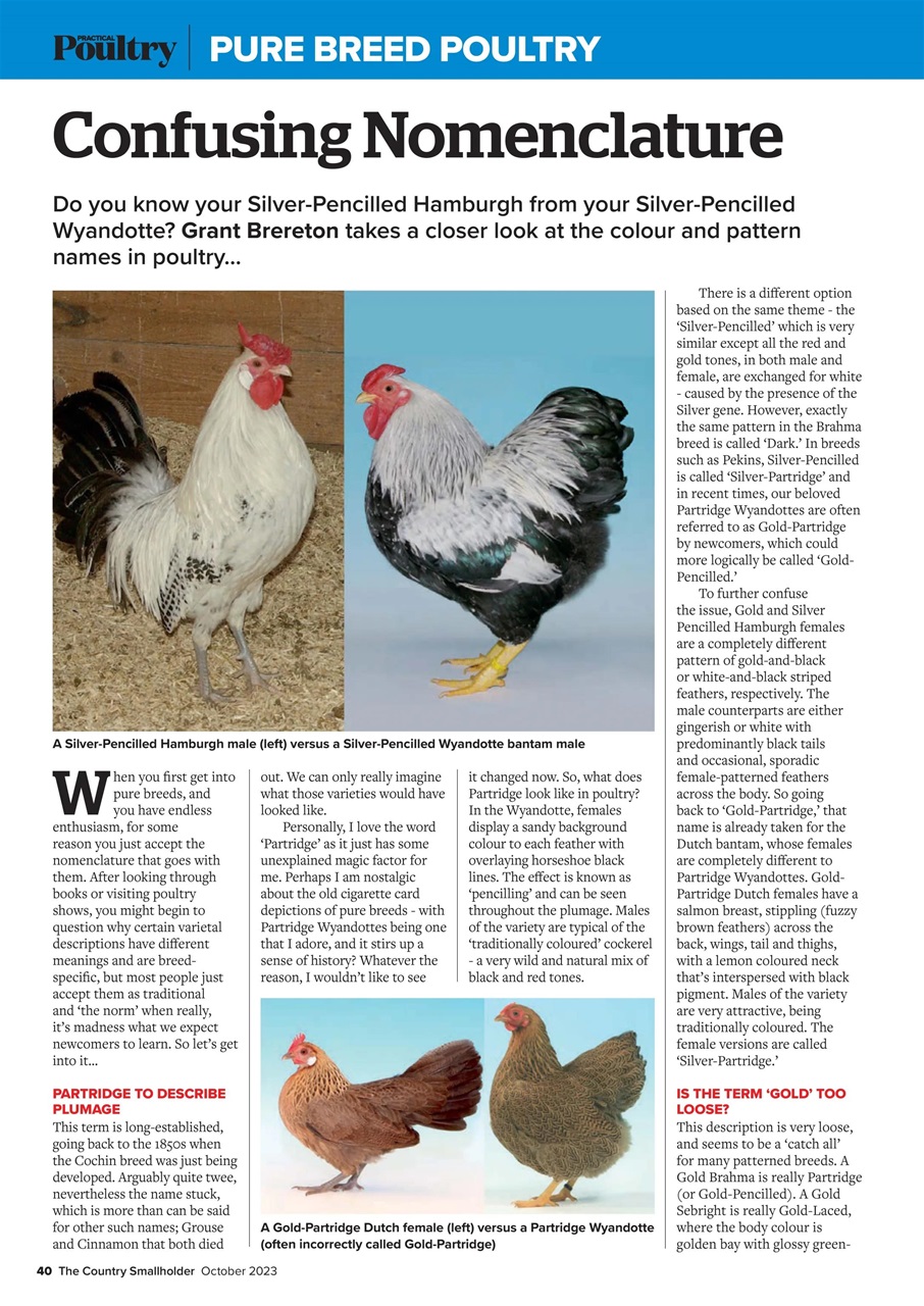 The Country Smallholder Preview Pages
