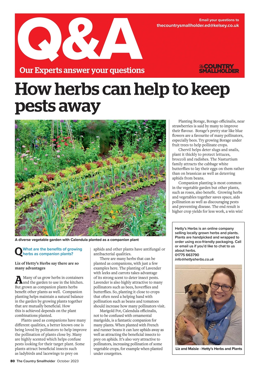 The Country Smallholder Preview Pages