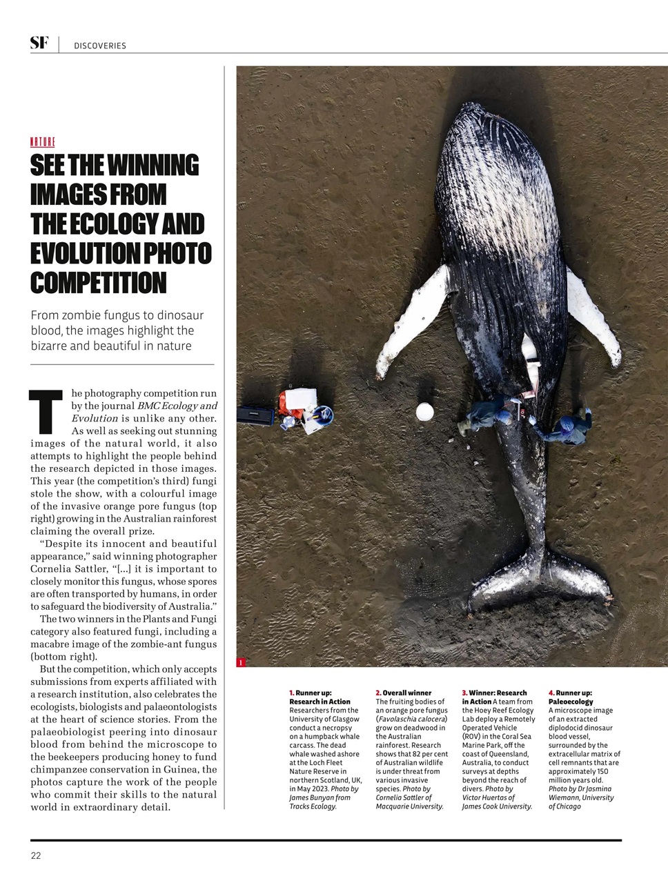 BBC Science Focus Magazine Preview Pages