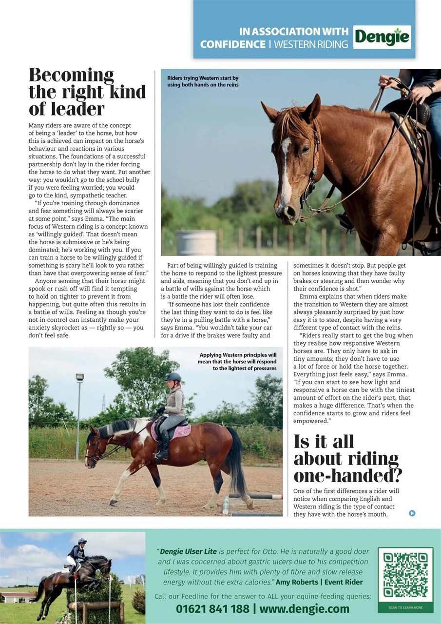 Your Horse Preview Pages