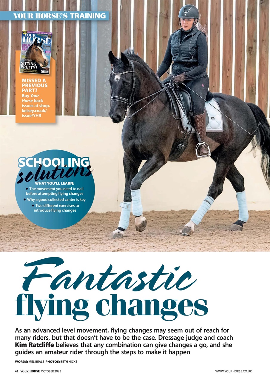 Your Horse Preview Pages