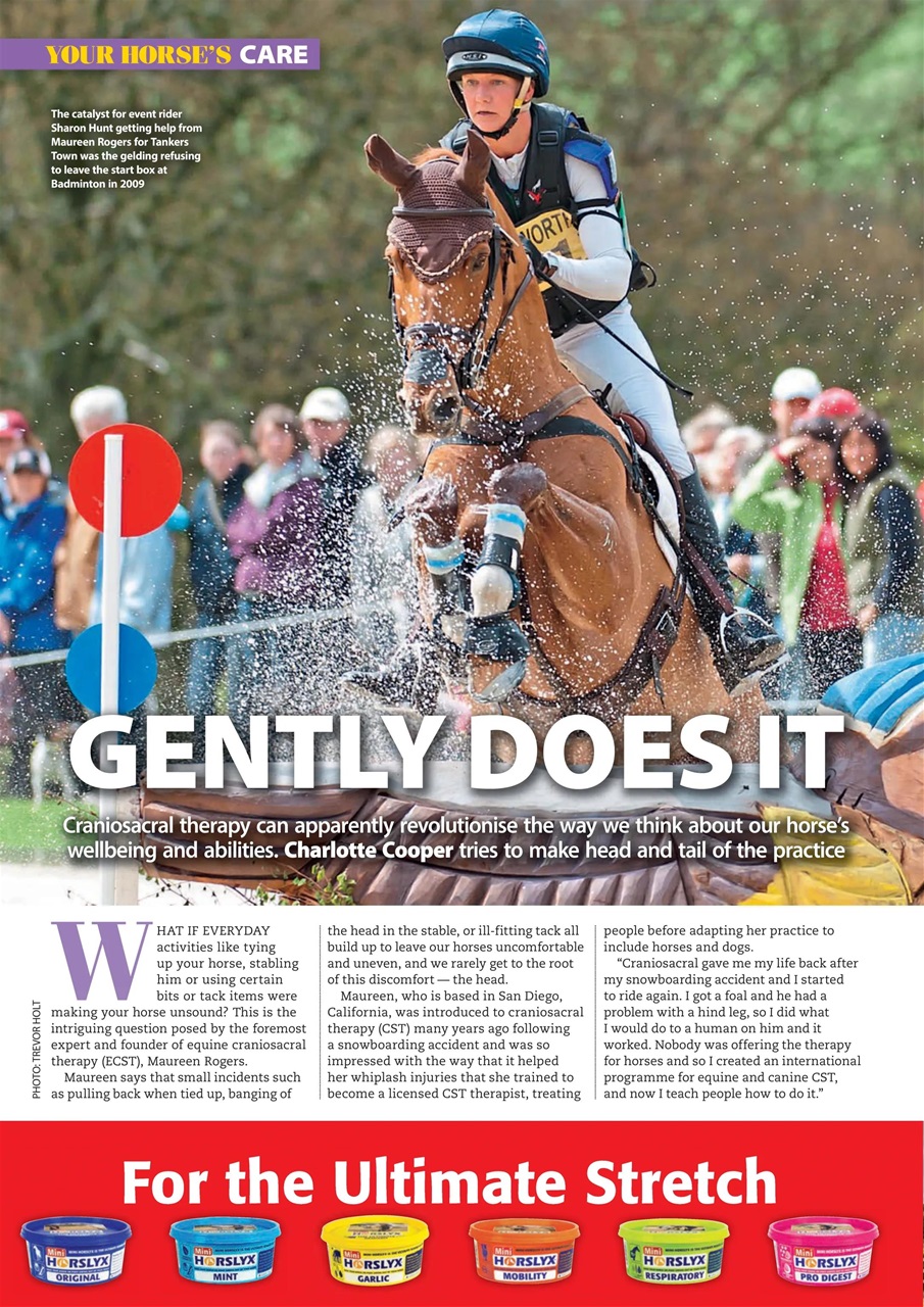 Your Horse Preview Pages