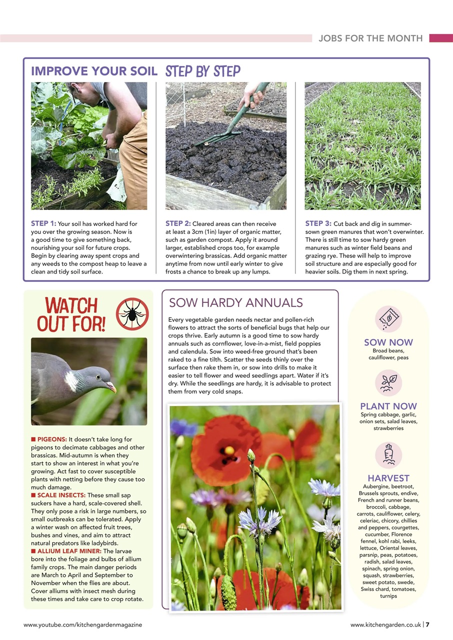 Kitchen Garden Magazine Preview Pages