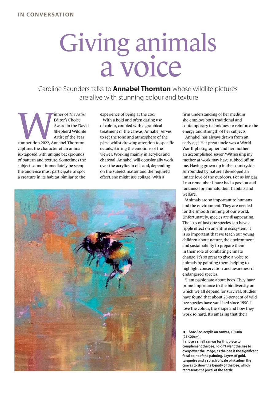 The Artist Preview Pages