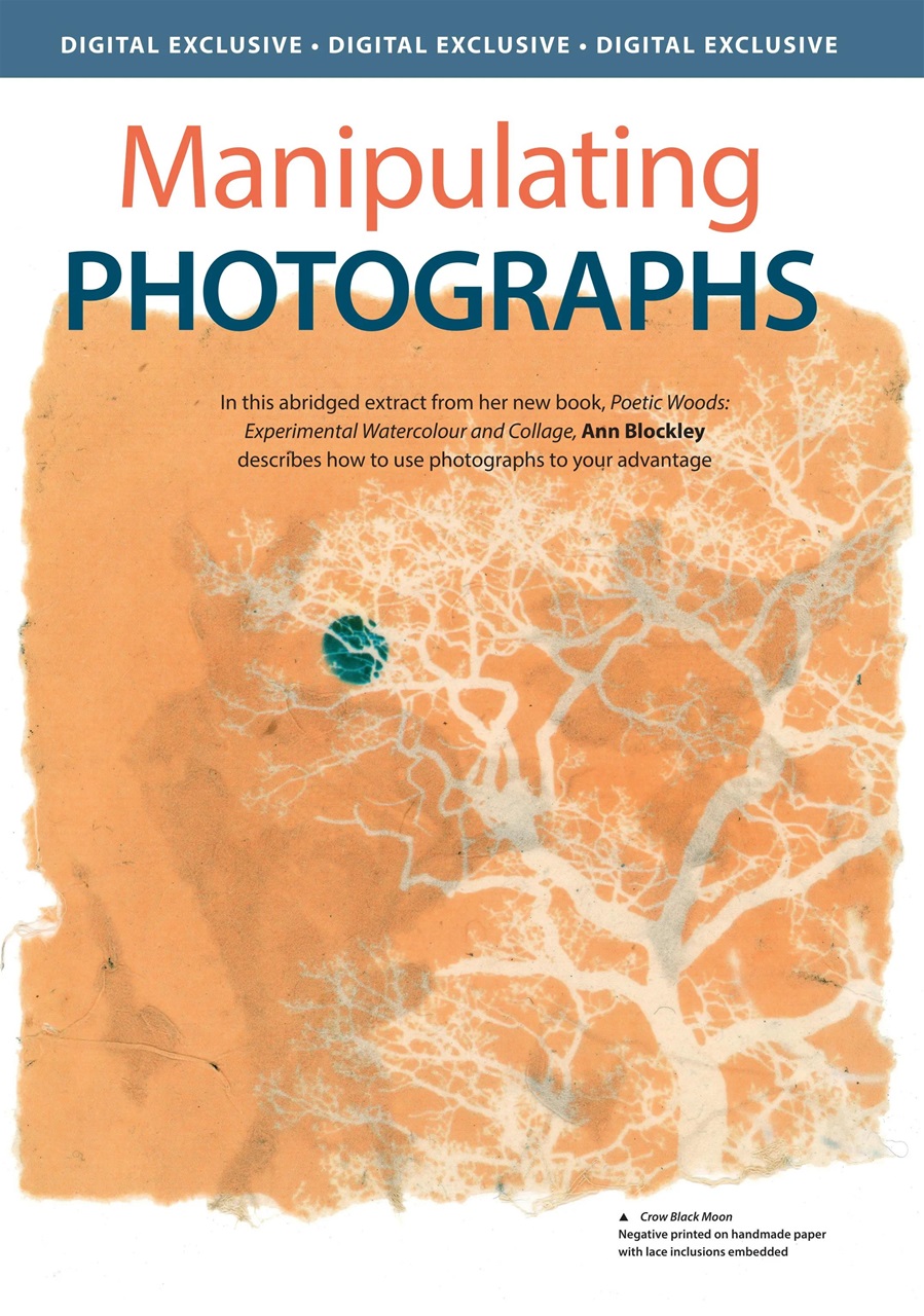 The Artist Preview Pages