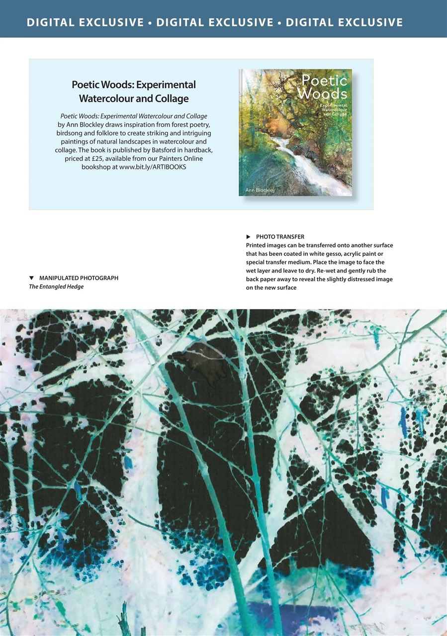 The Artist Preview Pages