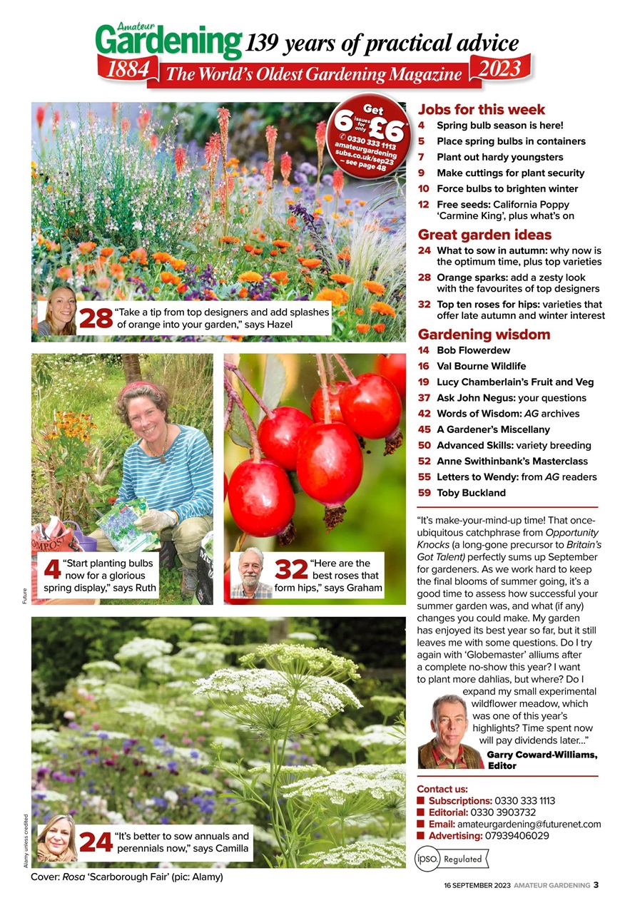 Amateur Gardening Preview Pages