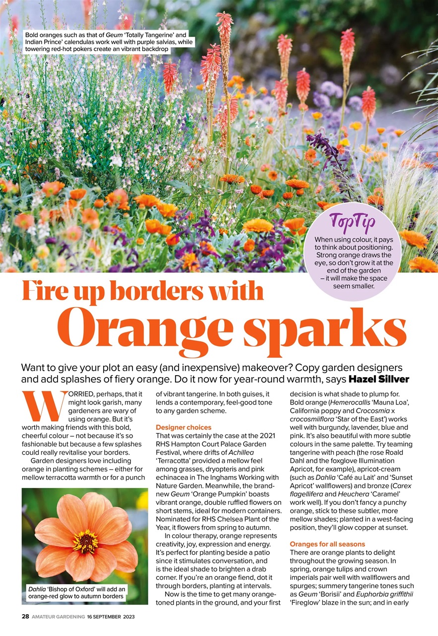 Amateur Gardening Preview Pages