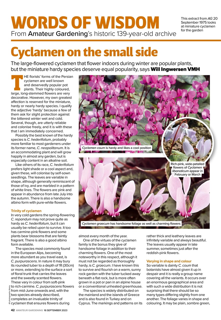 Amateur Gardening Preview Pages